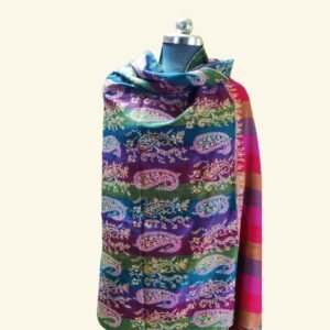 Pashmina Multi-Colour Stripes